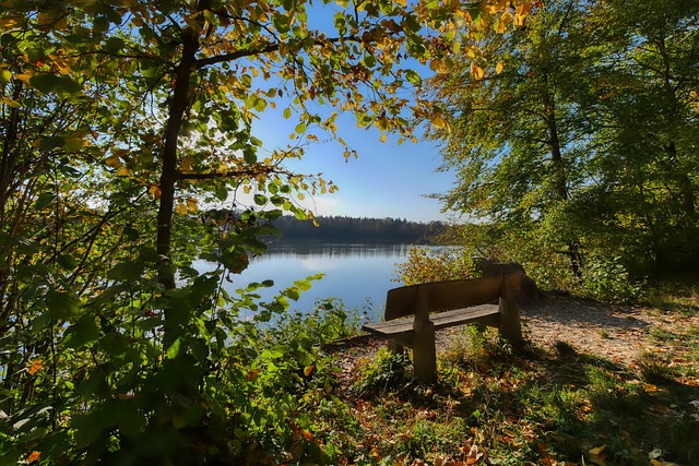 通过政策支 通过政策支