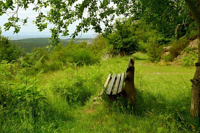 执行不仅能 执行不仅能