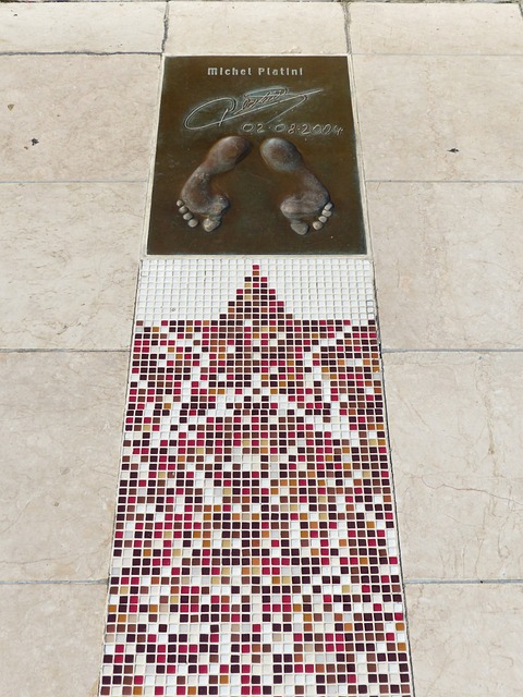 的独特魅力 的独特魅力